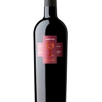 SCHOLA SARMENTI – ARMENTINO SALENTO IGT - ANTICA VINERIA AVANGUARDISTA