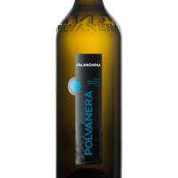 POLVANERA - FALANGHINA PUGLIA IGT - ANTICA VINERIA AVANGUARDISTA