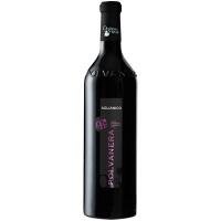 POLVANERA - AGLIANICO IGT 2020 - ANTICA VINERIA AVANGUARDISTA
