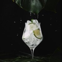 Vodka lemon - Kong Salerno