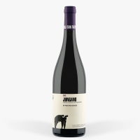 Jungano - Kong Salerno