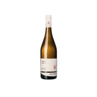 Geewurztraminer - Hello Poke Piazza Municipio