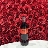 Coca cola zero - Rakki Sushi