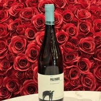 San Salvatore Palinure - Rakki Sushi