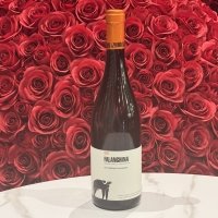 San Salvatore Falanghina - Rakki Sushi