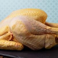 Pollo giallo - Nicolosi php