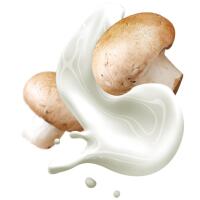 Salsa Boscaiola - Panzè