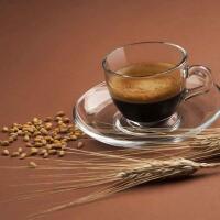 Caffè d'orzo piccolo - Thai Break