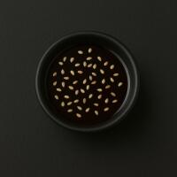 Teriyaki - Oh, My Gyoza.