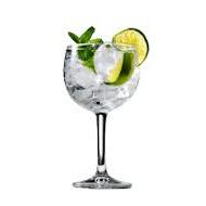 Gin Tonic - PrimeQuerce Mezza Pensione