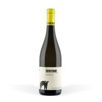 San Salvatore - Trentenare, Paestum Fiano IGT, da 750ml - Paestum in Tavola