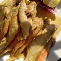 CUOPPO DI PARANZA - Lo Sparviero