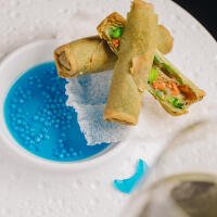 N1 - INVOLTINI PRIMAVERA VERDURE - Takiya Sushi casoria