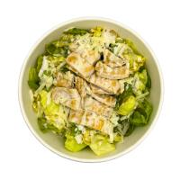 CAESAR SALAD - SGARRO O NO? x E-CO KORE