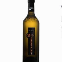 MOSCATELLO SELVATICO (POLVANERA) - Piano - Susci Italiano