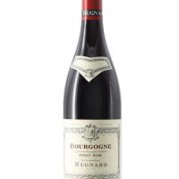 BOURGOGNE PINOT NOIR 2023 (REGNARD) - Piano - Susci Italiano