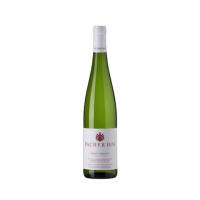 Pinot Grigio DOC 2025 - Pacher Huber - Piano - Susci Italiano