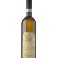 TESTAROSSA TREBBIANO D'ABRUZZO - PASETTI - Piano - Susci Italiano