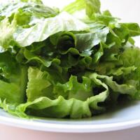 insalata verde - Il bar dell'Angolo