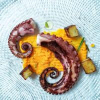 Tentacolo di Polpo Scottato - Cliff