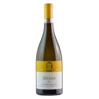 Antonio Caggiano Bechar (fiano) - Cliff