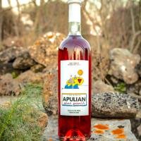 1X - Apulian Wine Punch 100CL - Riempitori di bicchieri