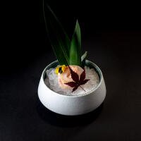 59. Sashimi suzuki - Rui Sushi Padova