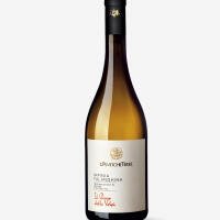 il passo delle volpi FALANGHINA- D'ANTICHE TERRE - Terroir Wine shop