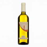 GRAN TIFEO falanghina IGT - cenatiempo - Terroir Wine shop