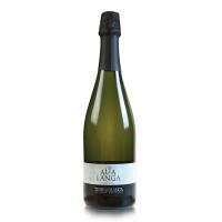 alta langa EXTRA BRUT M.C.- terrabianca - Terroir Wine shop