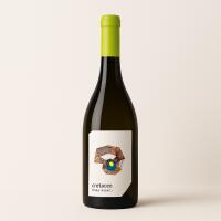 cretaceo puglia IGP bianco- curtomartino - Terroir Wine shop