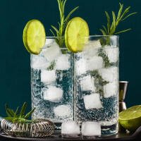 Gin tonic - O figlio do macellar