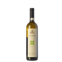 Greco Bianco (Archetipo) - Salotto