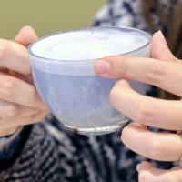 Butterfly Blu Pea Latte - Salotto