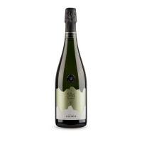 Extra Brut Bianco 514 Altitude ( TENUTA VIGLIONE) - Salotto