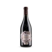 SELLATO ( TENUTA VIGLIONE ) - Salotto