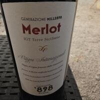 Merlot - L’Oasi di Apizzastreet