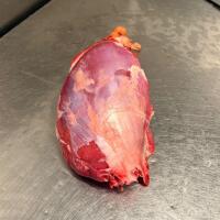 Testa di dietro coscia - Macelleria The Butchers