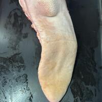 Lingua - Macelleria The Butchers