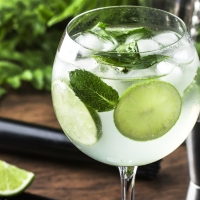 Mojito - Kong Salerno