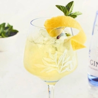 Gin Mare Lemon - Kong Salerno