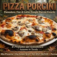 Porcini - Mia Pizzeria Parma