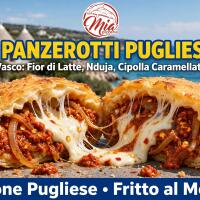 PANZEROTTO VASCO - Mia Pizzeria Parma