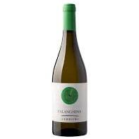 Falanghina Il Poggio - Tamburella - Trattoria e Pizzeria