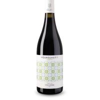 Negroamaro tenute viglione calice - L'incontro pub