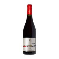 Syrah Cantine Paolini DOC - Tastami.it
