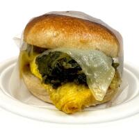 BUN chicory - Perfegg Vaticano