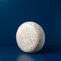 Stracchinato artigianale di latte di bufala - Il caseificio della masseria d'Elia