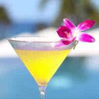 Barracuda - Bar Pasticceria Martino