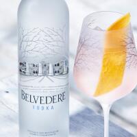 Vodka Belvedere Tonic - Bar Pasticceria Martino